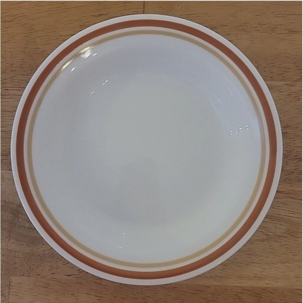 Corelle Cinnamon Dinner Plate GrandmaCore VTG Made in USA 10.25" preowned